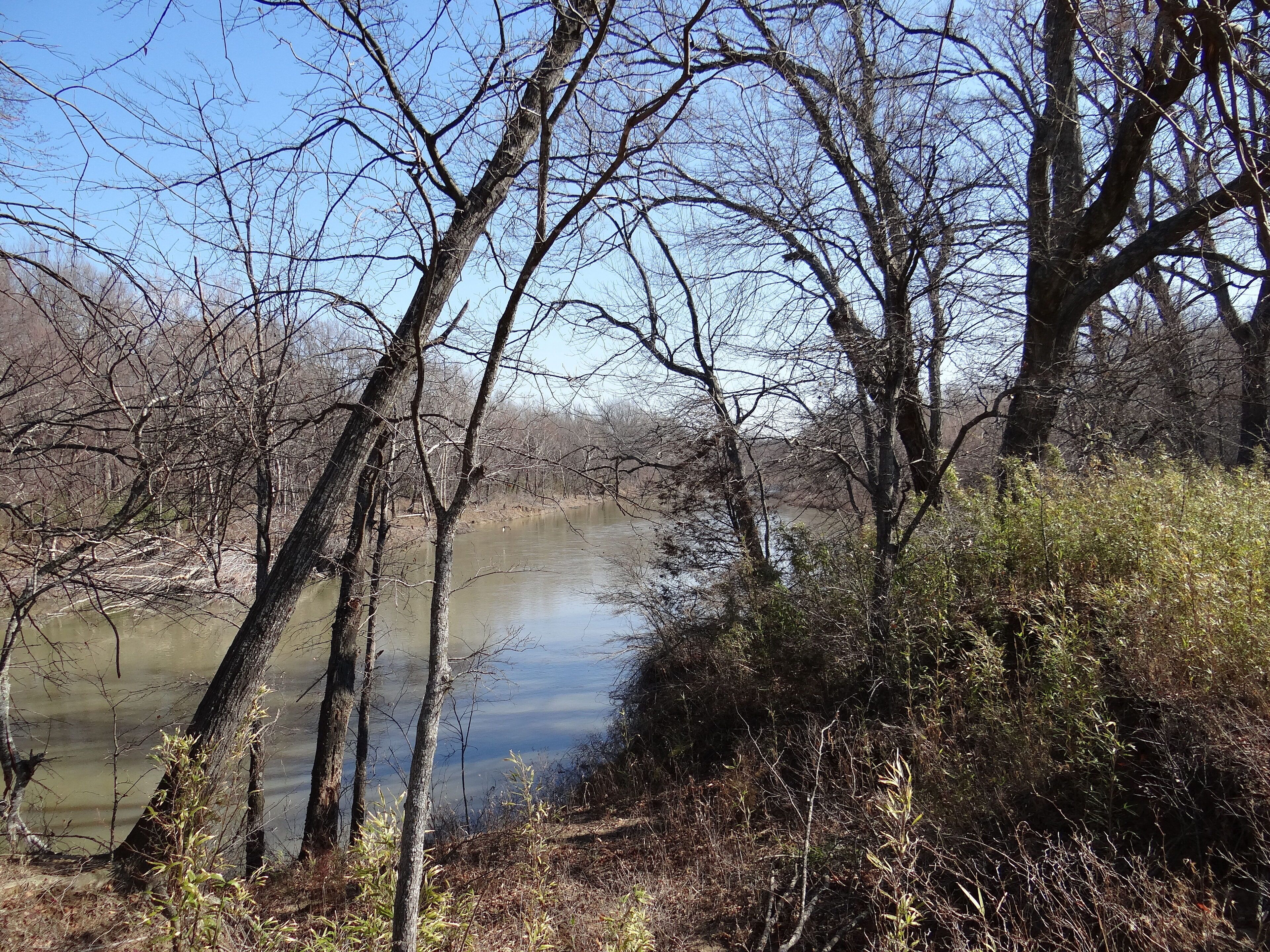 Un río rodeado de árboles desprovistos de hojas y una densa maleza.