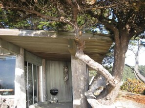 Terraço/pátio