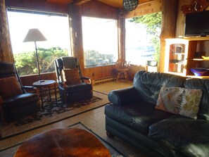 TV, fireplace, books