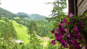 A balcony with a view of a mountainous landscape, featuring green hills and dense forests. - Whistler Mountainside Ski-In Ski-Out Spectacular Views (Whistler)