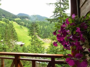 Property grounds - Whistler Mountainside Ski-In Ski-Out Spectacular Views (Whistler)