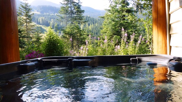 A hot tub with a view of a forest and mountains. - Whistler Mountainside Ski-In Ski-Out Spectacular Views (Whistler)