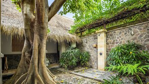 Une cour avec un grand arbre, des murs en pierre et des plantes en pot.