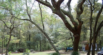 Lets Go Camping In Comfort, Southern Style, come on down.