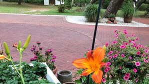 A garden with potted plants, a small structure, and a brick pathway. - Lets Go Camping In Comfort, Southern Style, come on down. (Summerdale)