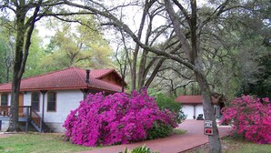A rustic cabin with a red roof, surrounded by lush greenery and vibrant pink flowers. - Lets Go Camping In Comfort, Southern Style, come on down. (Summerdale)