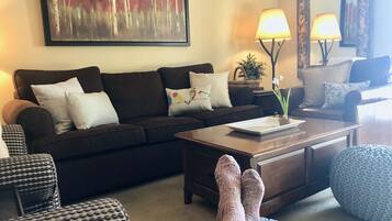 TV, fireplace, DVD player, books