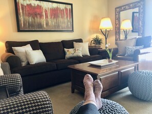 TV, fireplace, DVD player, books