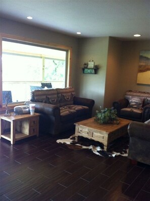 TV, fireplace, books