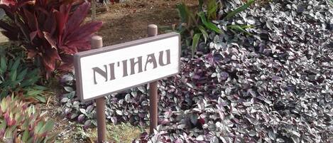 A garden with a sign that reads "N'IHAU".