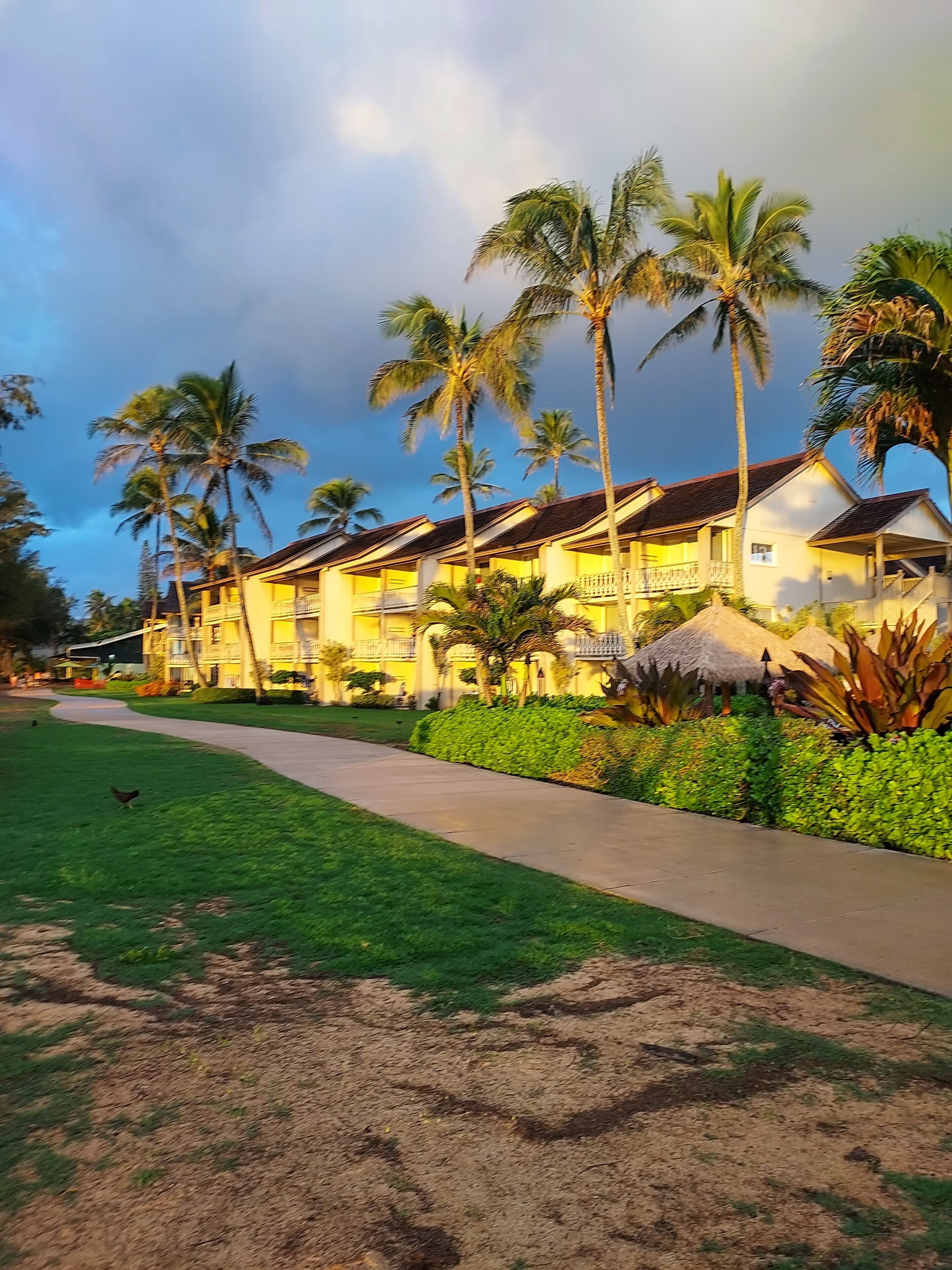 A resort with multiple-story buildings, a paved walkway, and palm trees.