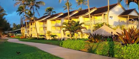 A resort with multiple-story buildings, a paved walkway, and palm trees.
