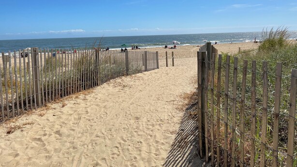 Un sentier de plage sablonneux, bordé d’une clôture en bois, avec vue sur l’océan.