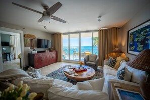 Smart TV, lettore DVD, libri, biblioteca musicale