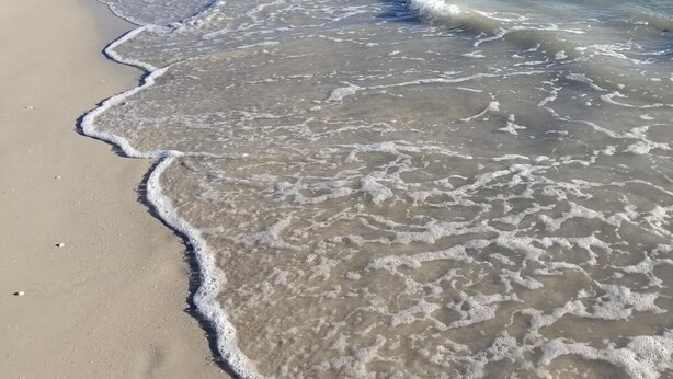 Une plage à l’eau claire et au rivage sablonneux.