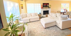 Smart TV, fireplace, video games, books