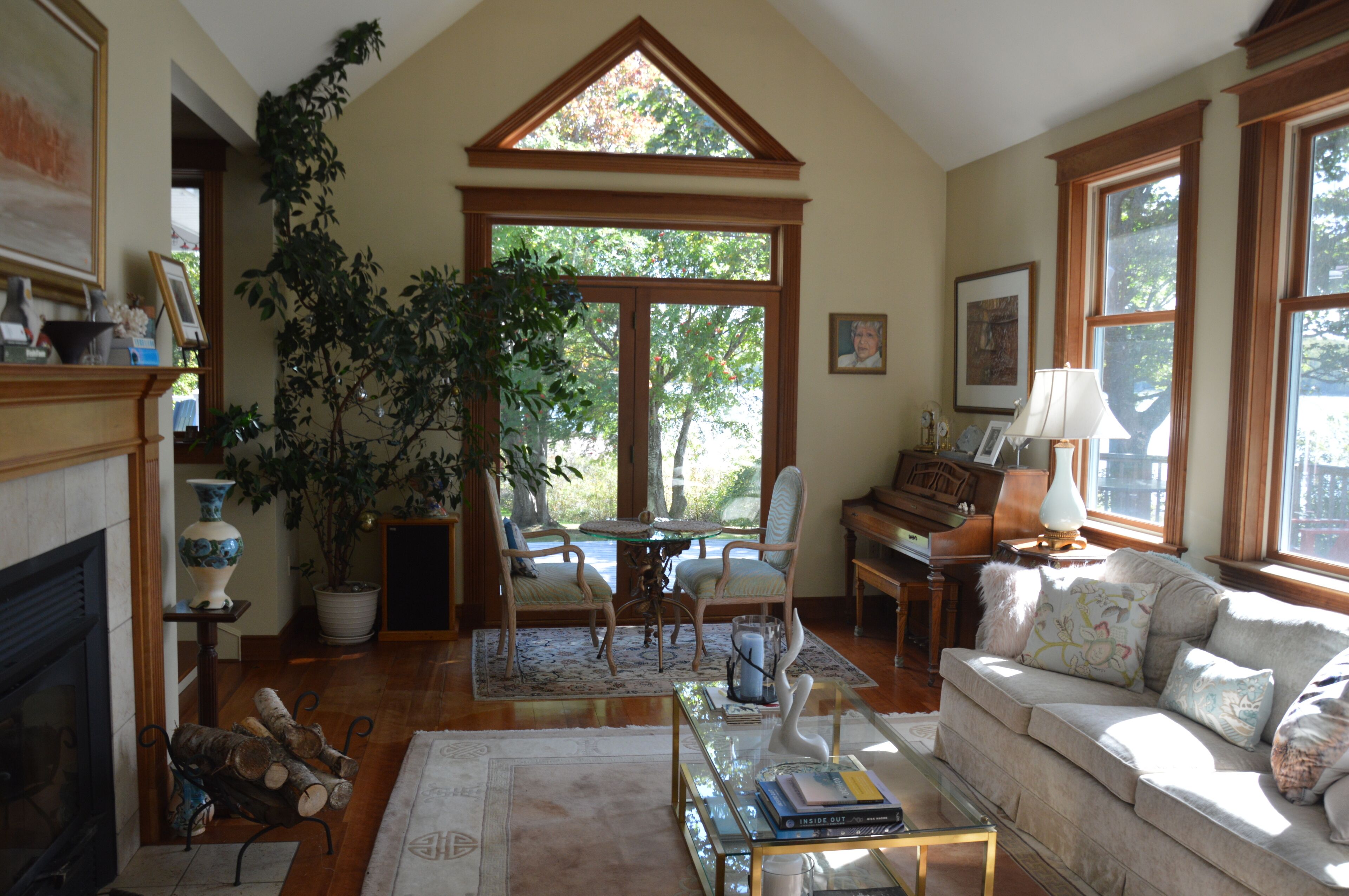 TV connectée, cheminée, lecteur de DVD, livres