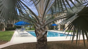 A pool area with lounge chairs and umbrellas, surrounded by palm trees and a building in the background. - Oceanfront -on 7 Mile Beach- 1  Bed-Cayman Reef Resort # 21 Sleeps 4,   (Seven Mile Beach)