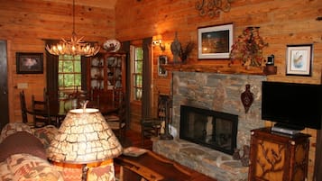 TV, fireplace, DVD player, books