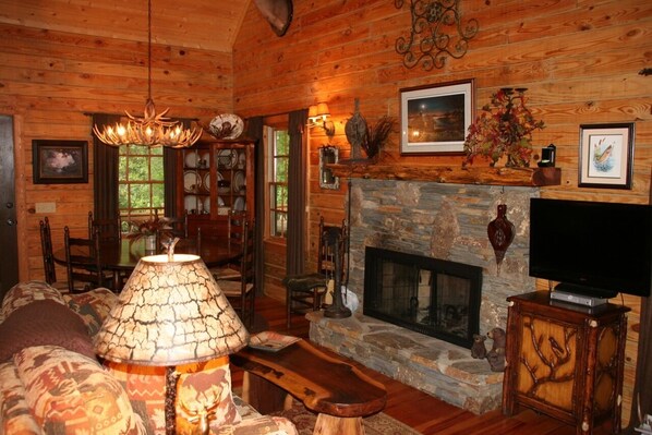 TV, fireplace, DVD player, books