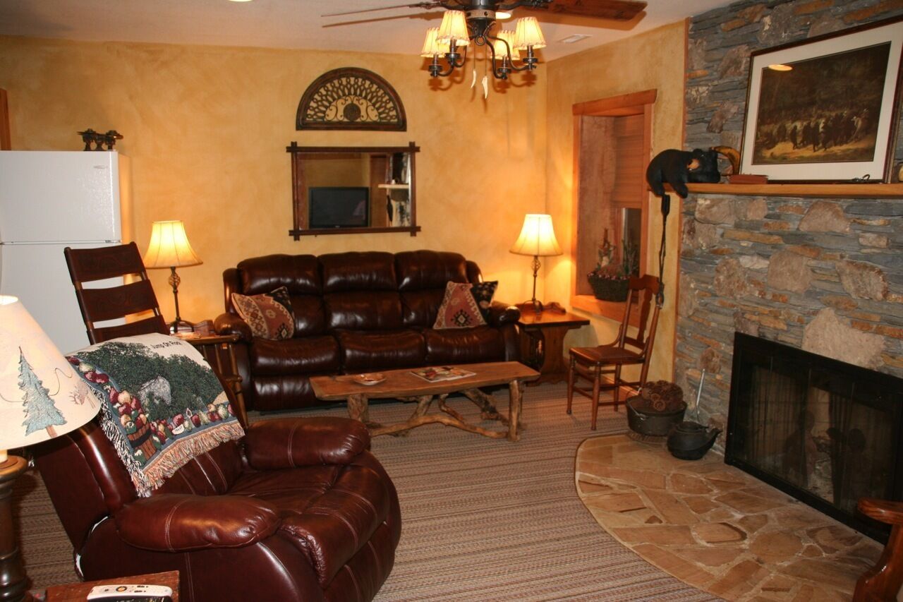 TV, fireplace, DVD player, books