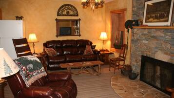 TV, fireplace, DVD player, books