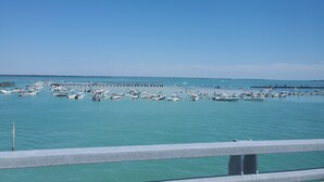 Un puerto deportivo con numerosas embarcaciones amarradas, un muelle que se adentra en el agua y un cielo azul despejado.