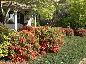 Property grounds - Tanglewood Farm - Fox Den Suite 1 BR/1BA Private Apartment on Horse Farm (Southern Pines)