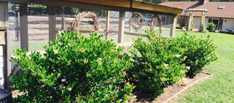 Tanglewood Farm - Fox Den Suite 1 BR/1BA Private Apartment on Horse Farm