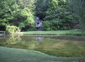 Property grounds - Relaxing Cozy Cabin in the Heart of the Blue Ridge Mountains. Pet friendly (Foscoe)