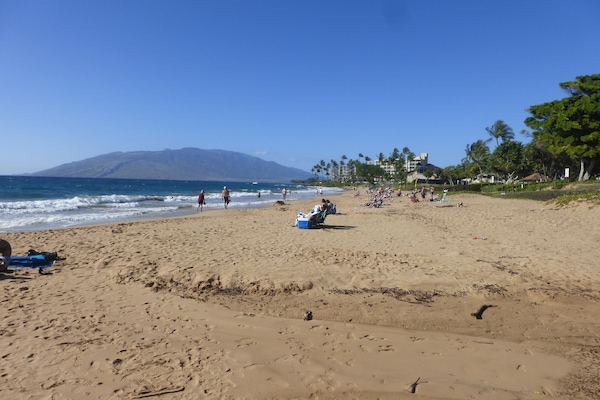 Beach nearby, sun loungers, beach towels
