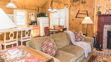 Smart TV, lareira, DVD player, livros