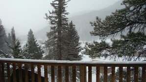 Escena nevada de un bosque con una baranda de madera en primer plano.