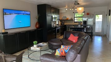 TV, DVD player, books, video library