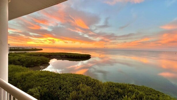 Un paisaje costero con atardecer, agua tranquila y abundante vegetación.