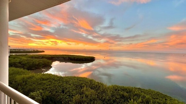 Property grounds - OCEAN MEMORIES CONDO- 2 Bedroom, 2 Bath Oceanfront w/ Pool & Hot Tub (Key West)