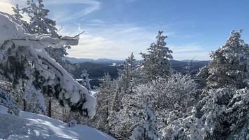 Un paysage enneigé, avec de nombreux arbres à feuilles persistantes et un ciel dégagé.