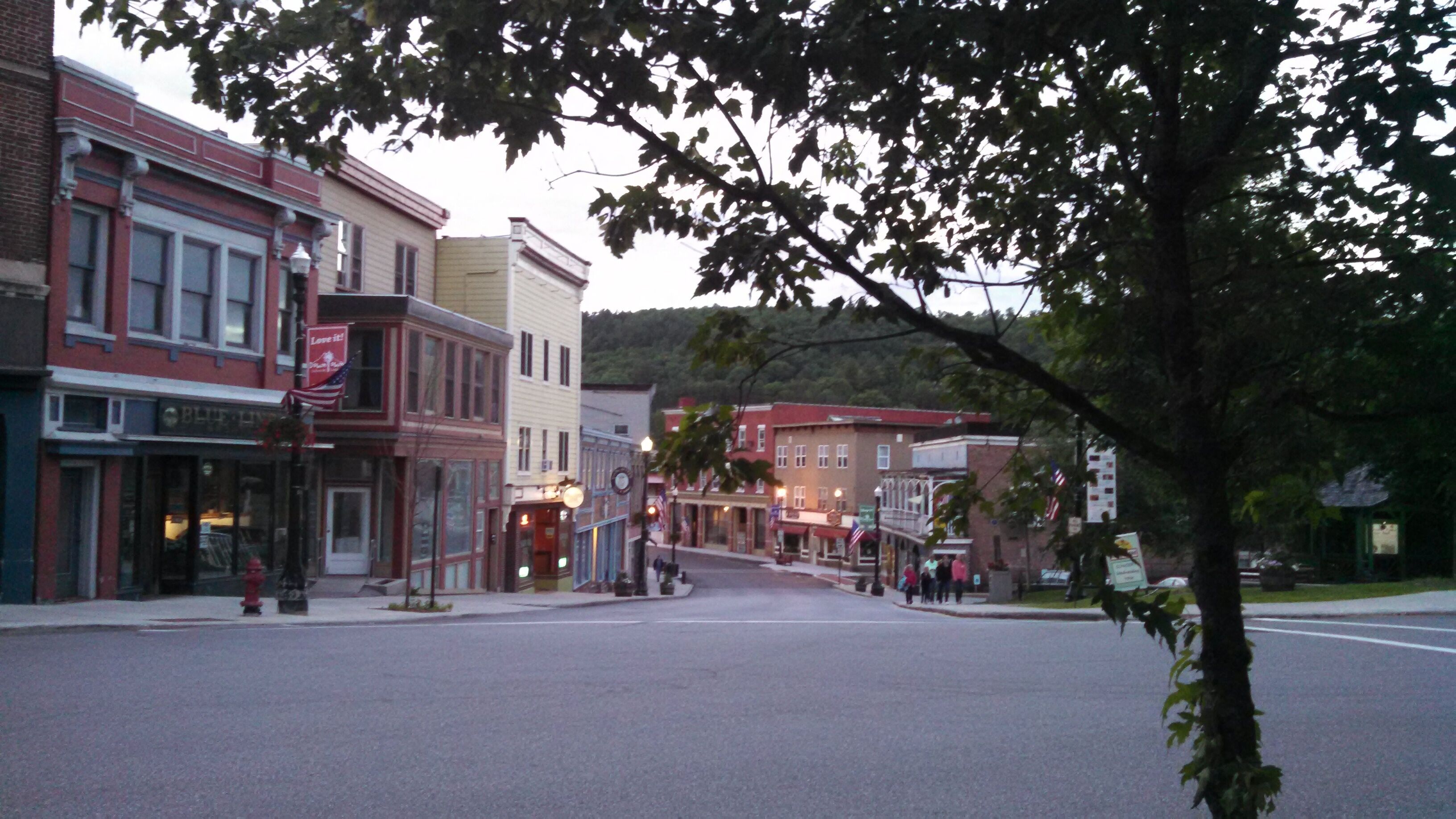 A street view with buildings, a fire hydrant, and a tree.