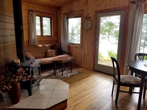 Smart TV, chimenea, reproductor de DVD y libros 