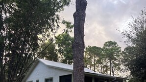A white building with a porch and a staircase, surrounded by trees and grass. - Hobe Sound Natural Setting. New lightning fast internet. Great seclusion! (Hobe Sound)