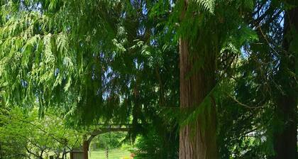 Bond Ranch Retreat, Cozy Cedar Cottage on the beautiful Olympic Peninsula, WA.