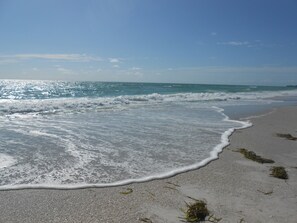 A beach with waves gently lapping at the shore, clear skies, and seaweed on the sand.