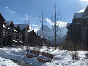 Terrain de l’hébergement 