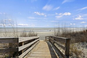 Playa en los alrededores 
