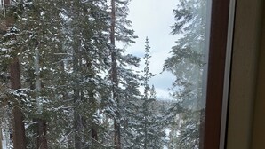 A snowy forest scene through a window. - LUXURY VIEW CONDO/SKI-IN/SKI-OUT/TO CANYON/EAGLE EXPRESS (Mammoth Lakes)