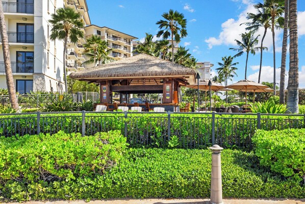 A resort with a thatched-roof gazebo, outdoor seating, palm trees, and a fenced garden area.