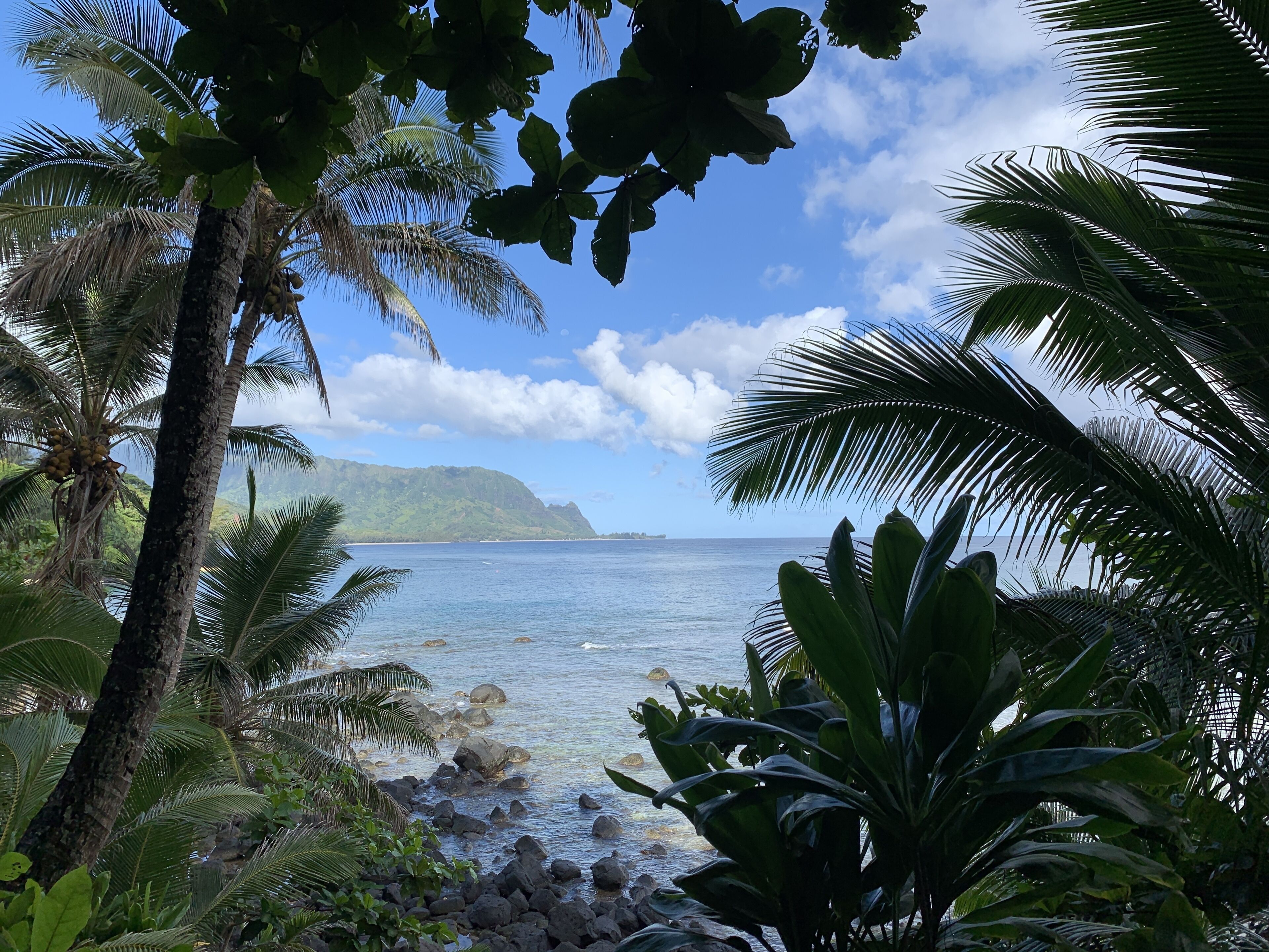 كراسي للتشمس، مناشف للشاطئ