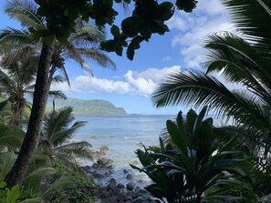 Une plage tropicale bordée de palmiers, offrant une vue dégagée sur l’océan.