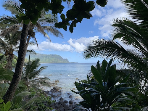 Heavenly OCEAN VIEWS throughout JOYFUL "Home of the Opening Flower" A/C 4Br3Ba  