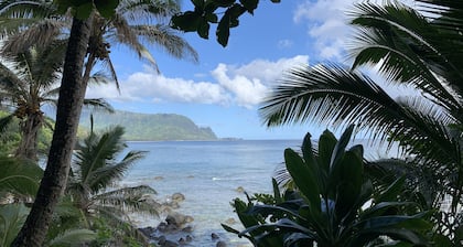 Heavenly OCEAN VIEWS throughout JOYFUL "Home of the Opening Flower" A/C 4Br3Ba